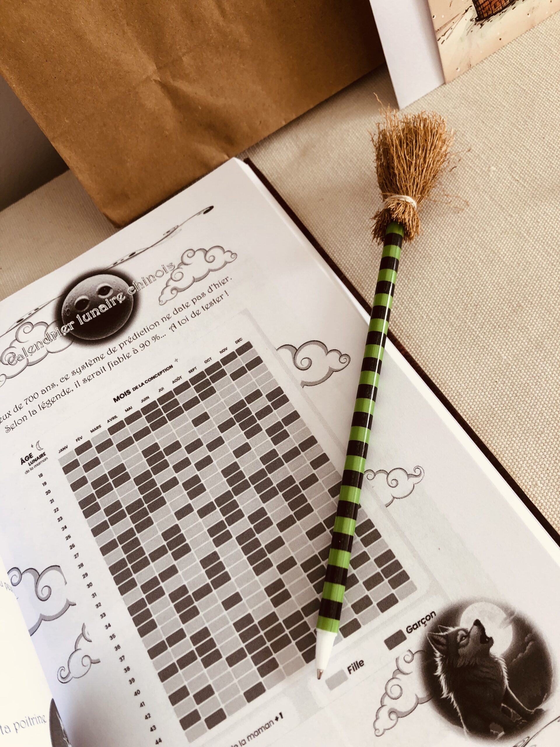 Sac cadeau - Projet bébé - Future maman – Image 6