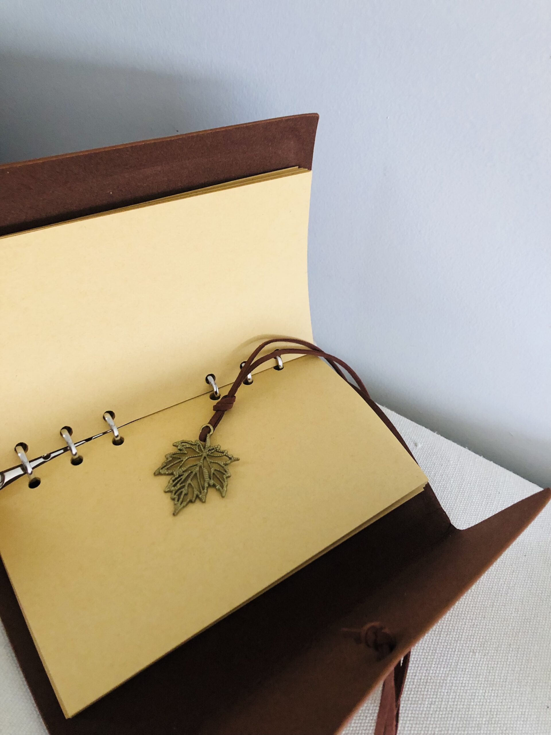 🍂 Carnet "Feuilles d’Automne" – Image 5